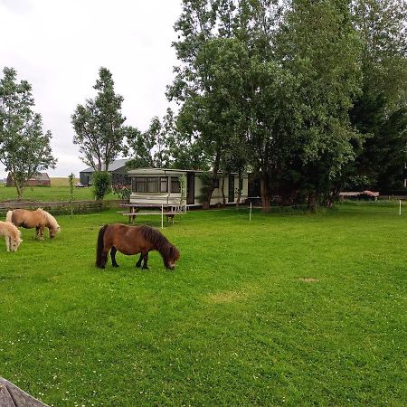 De Boerenskuur..Chalet.. Assendelft 外观 照片