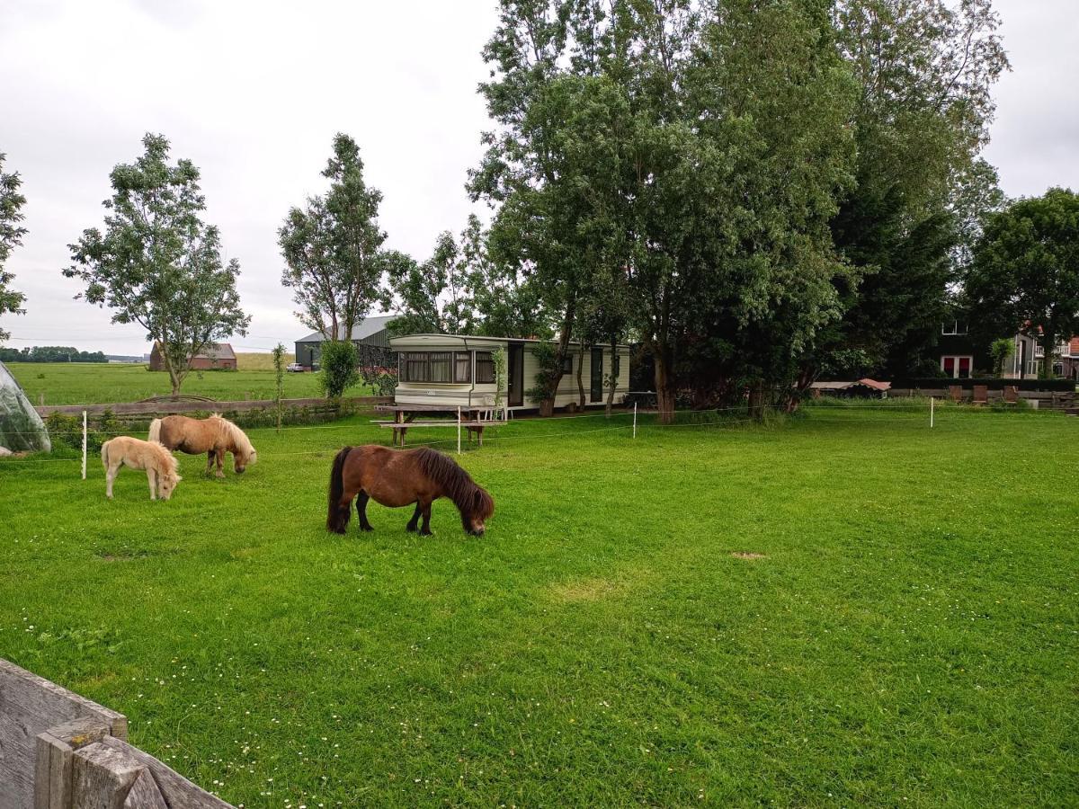 De Boerenskuur..Chalet.. Assendelft 外观 照片